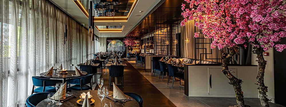 Masami reikt helpende hand!